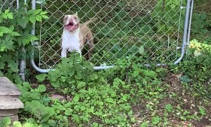 Not Her Brightest Moment