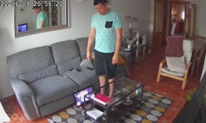 Cat Pulls Laptop off Coffee Table on Accident