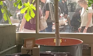 Police in the Netherlands in Action