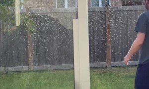 Special Cat Plays with Sprinkler