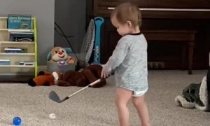 Talented toddler shows off his incredible golf swing 