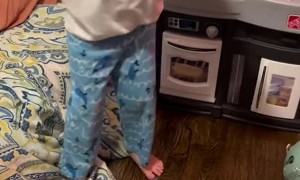 Son Unleashes Inner Hulk to Protect Mom in Fake Fight