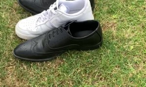 Tommy the Tortoise vs. Black and White Shoes