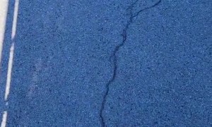 Man Has to Evict Rat From Truck Trailer