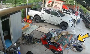 Cobra Hides in Plain Sight