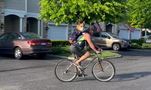 Corgi Goes for Bike Ride