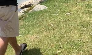 Stuck Turtle Rescued from Rocks and Released