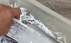 'Martha' Leaves Intriguing Letter in Thrift Store Donation