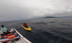 Fisherman Catches Massive Marlin from Kayak