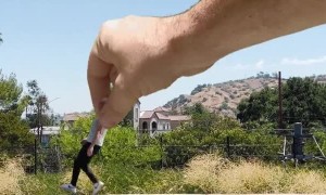 How Much Fun Can You Have With Walking?