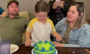 Kid Smashes Face into Birthday Cake