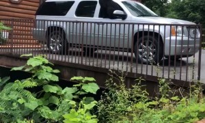 Bear Convinced to Climb Out of Car