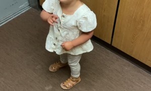 Kiddo's First Elevator Ride