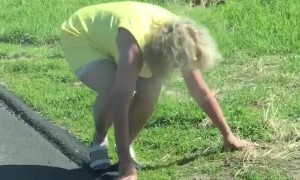 Tripped Up During Turtle Rescue
