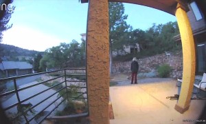 Bear Scare on Ring Doorbell