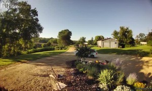 Cat Sits Unnoticed on Top of Van