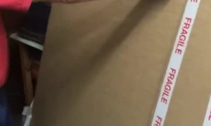 Mum Accidently Orders Giant Canvas