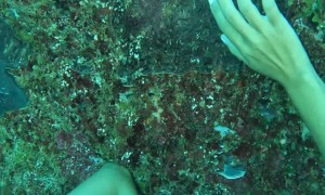 Underwater Air Pocket