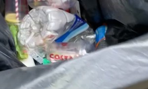 Rat Jumps Out of Garbage Can