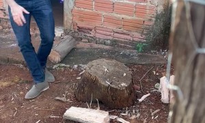 Man Hits His Own Leg With Ax