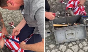Police rescue raccoon with head stuck in jar