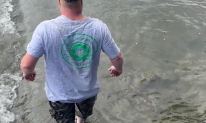 Man Catches Massive Sturgeon with Bare Hands