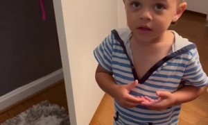 Toddler 'instructs' mom to go and make him a pizza