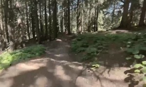 Downhill Mountain Biking in Switzerland