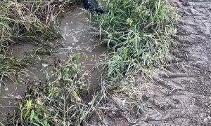 Clever Culvert Cleaning Method