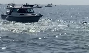 Breaching Whale Slams Boat