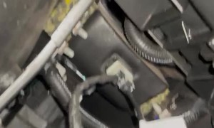 Kitten Rescued From Car Dashboard