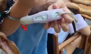 Dramatic Doggo Plays Dead in Owner's Arms