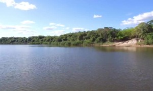 I Lost My Drone to an Alligator