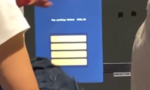 We Forgot We Left the Car Here Back in April