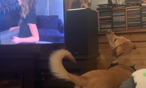 He’s Gotta Be Back Here Somewhere...