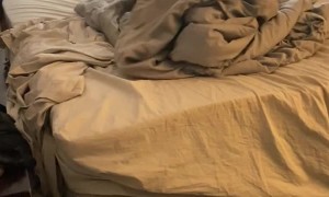 Pitbull Befuddled By Blankets