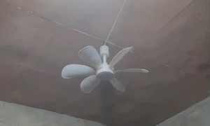 Fan's Blades Fly Off