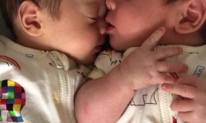 Twin Brother Goes for the Nose