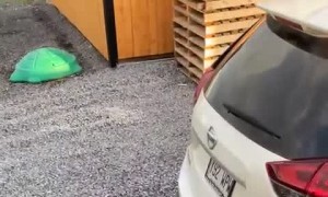 Little Girl Holds on to Opening Trunk