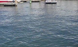 Big Rig Boat Cruises By