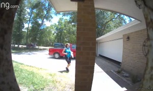Amazon Delivery Driver Greets Sweet Pup