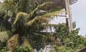 Earthquake Sends Water Tower to the Ground