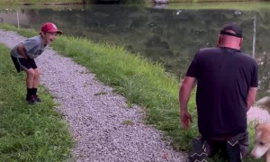 Man Slapped By Large Fish