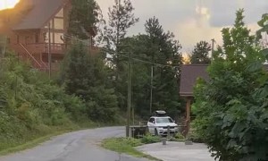 A Family of Bears Visited Our Cabin