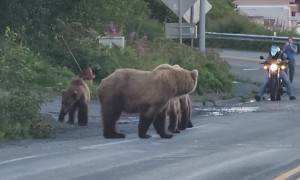 Traffic is Unbearable
