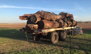 Old Toyota Car Turns Out to Be Heavy Hauler