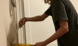 Water Bubble in the Wall