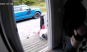 Baby Squirrel Sneaks into House and Jumps on Girl