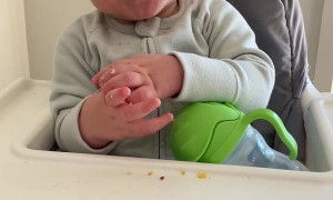 Baby Won't Say Mama's Name