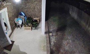 Special Forces Family Protects Mini Golden Doodle From Bear Attack